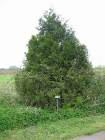 Greenwich Meridian Marker; England; Essex; Nazeing